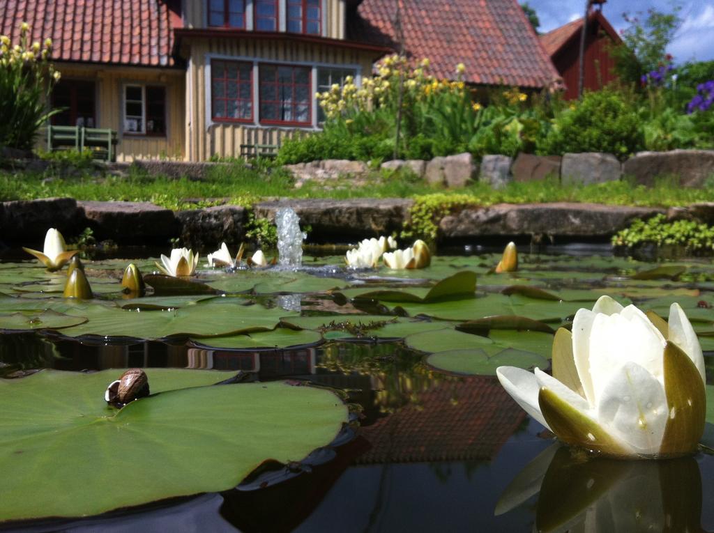 Vildrosor & Hoens Hagstad Zewnętrze zdjęcie